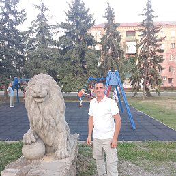, 37, 