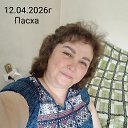 ���� �����, ������, 49 ��� - ��������� 12 ������ 2026 � ������ ���� ����������