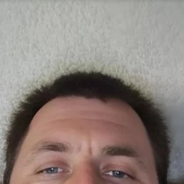 , 31 , 