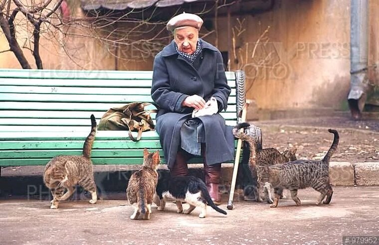 ИСПОЛНЕНИЕ ЖЕЛАНИЙ.Говорят, бойтесь желаний своих, ибо могут они исполнится. Ну, так вот.В этом доме ...