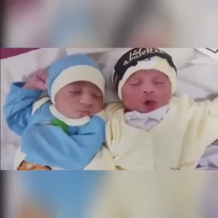 peae cpeoo ecapea cee a oc a ce, oco    poe aep ...