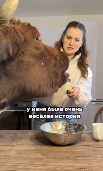 ��������. ������ � ������ �������� ����� ����� � ���� ����. �� �����, �� ����, � ����������� ������� ... - 2