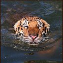 ���� ����, ������, 50 ��� - ��������� 22 ������ 2024 � ������ ���� ����������