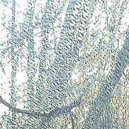 ������, 38 ���, ������