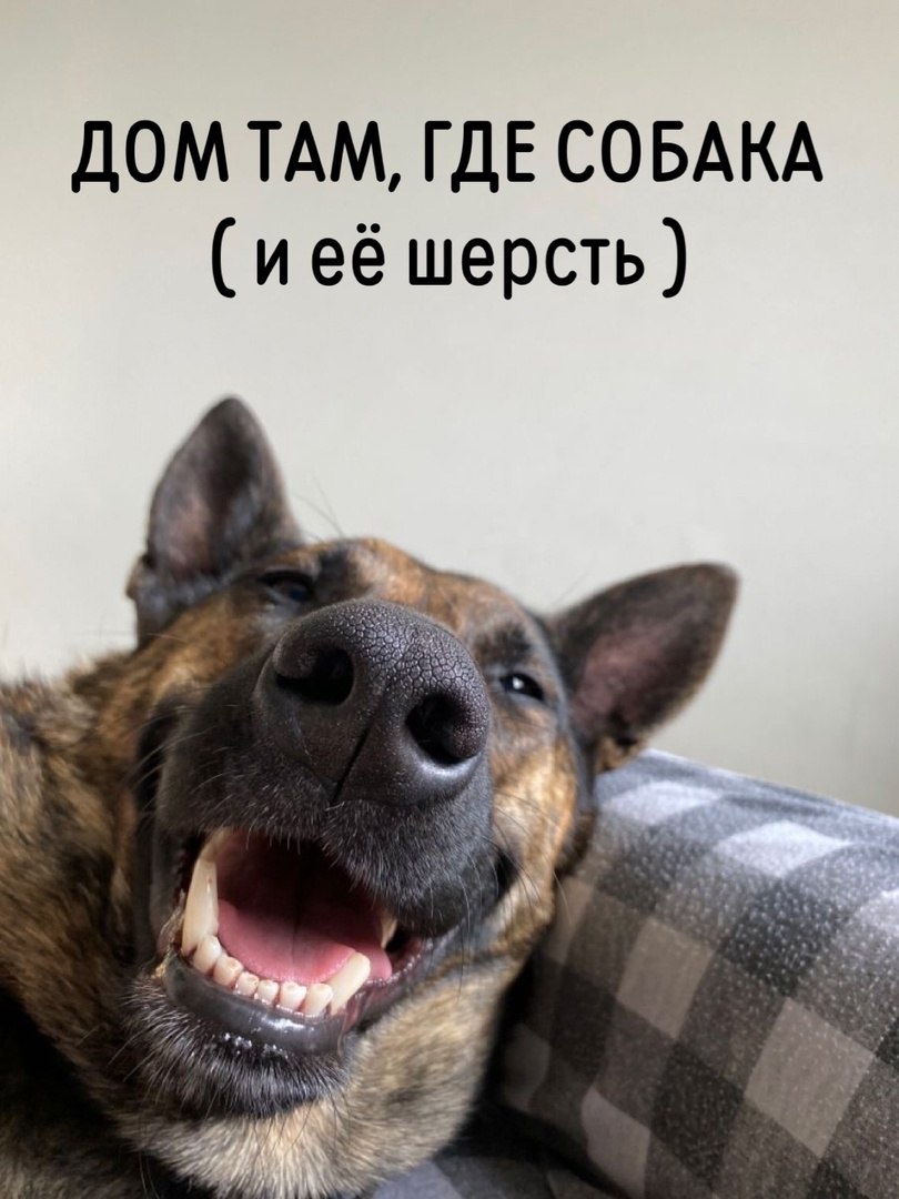  - 15  2025  06:33