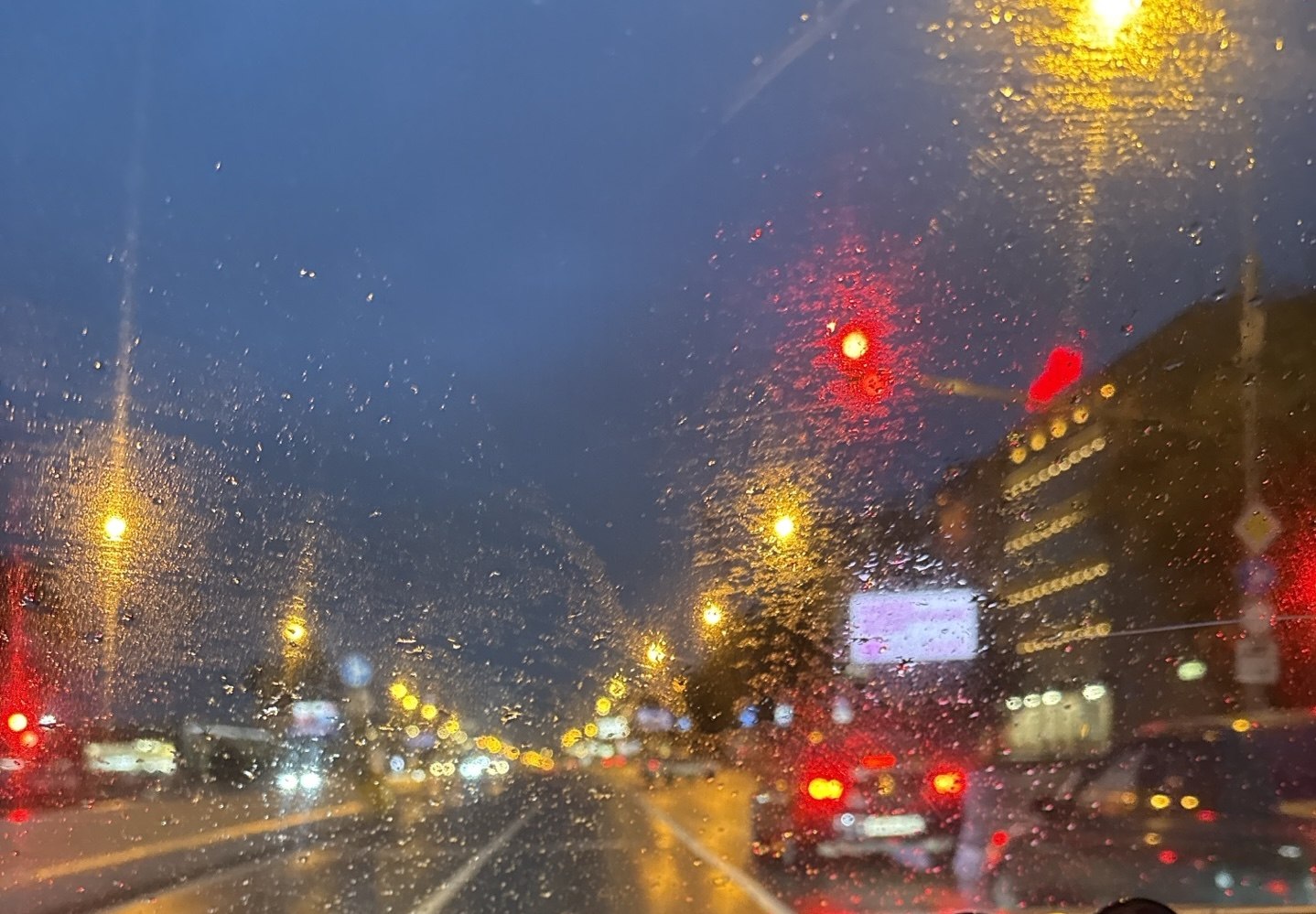 ������� - 31 ���� 2026 � 13:08