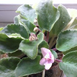 ���� ���������, �����������, 58 ��� - ��������� 3 ���� 2024