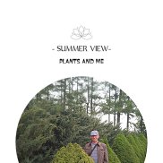 ������, 59 ���, ������