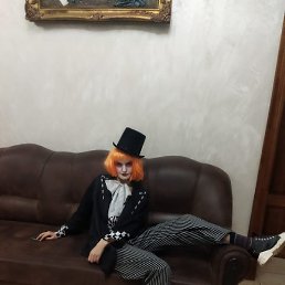 �����, ������, 41 ���