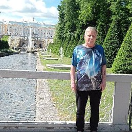 �������, ���������, 65 ���