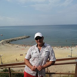 ��������, ����������, 49 ���