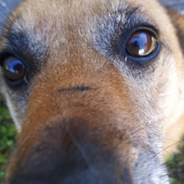 J, �����-���������, 42 ����