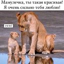 ���� ����, ��������, 63 ���� - ��������� 15 ������ 2026 � ������ ������ ��������