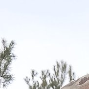 ��������, 50 ���, �������