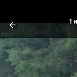 ���, ������, 44 ����