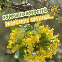 ���� ������, ������ - ��������� 7 ������ 2026 � ������ ������ ��������