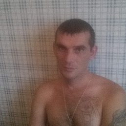 �����, 38 ���, ����������