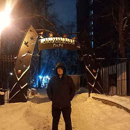 ����, ������, 54 ����