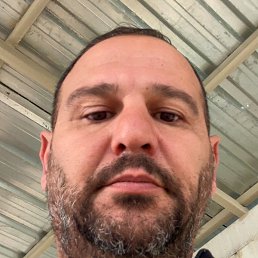 Mehman, �������, 42 ����