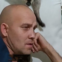 �������, ������, 44 ����