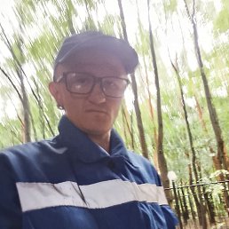 , 30, 