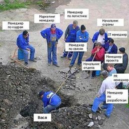 ����, ��������, 44 ����