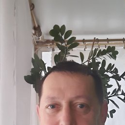 ������, 52 ����, ������ ��������