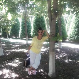 ������, ������, 66 ���