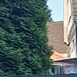 �������, ��������, 44 ����