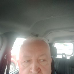 , 62, 