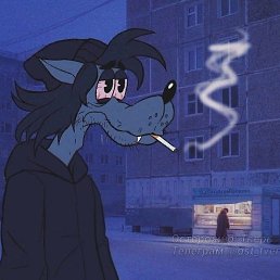 �����, ������, 29 ���