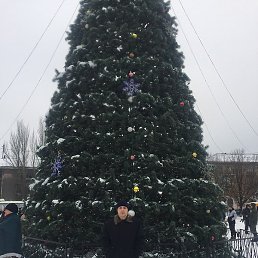 V�������� Z, ��������, 47 ���