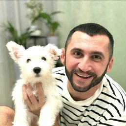 ������, 39 ���, ���������