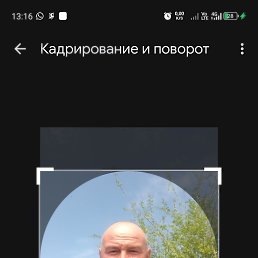 , 53 , 