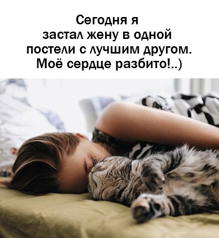 ������������� ���� - 5 ������� 2024 � 20:19