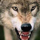 ���� ���, ������, 101 ��� - ��������� 21 ������� 2024 � ������ ���� ����������