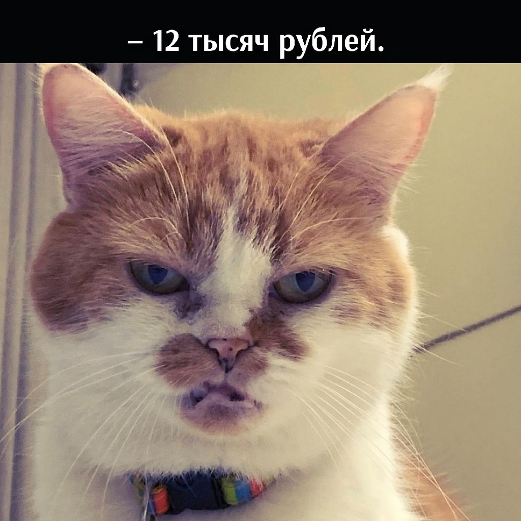       - 3  2025  17:00 - 3