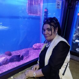  , 53, 