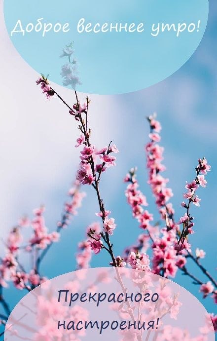   - 2  2024  08:10
