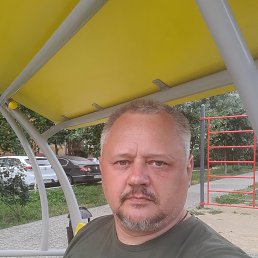 ���� ����, �����, 52 ���� - ��������� 22 ������ 2024