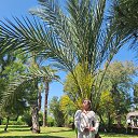 ���� ����, ��� - ��������� 26 ���� 2025 � ������ ���� ����������