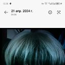 ���� ������ ������, �������, 61 ��� - ��������� 12 ��� 2024