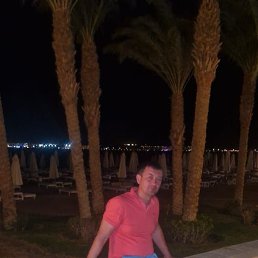 �����, 41 ���, ����