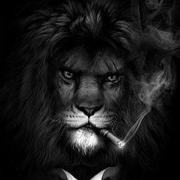 Artur, �������, 38 ���