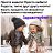 ���� �����, ����������� - ��������� 26 ��� 2024