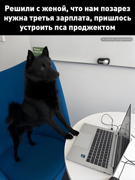 /zev/null - 18  2025  08:17