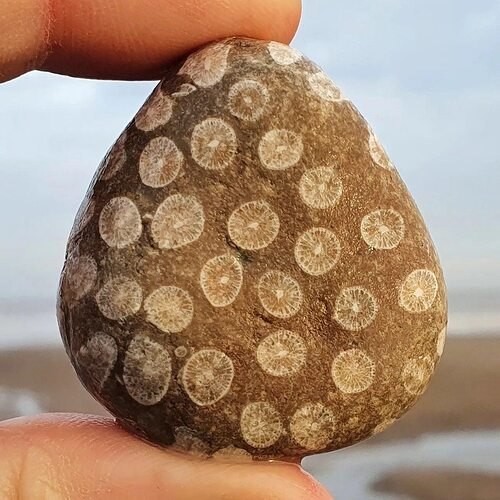   : ,   .     , ... - 3