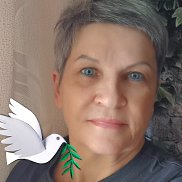 ���������, 66 ���, ������