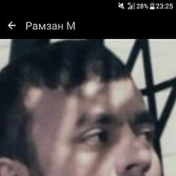 ������, ���������, 33 ����