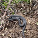 ���� �����, ���������, 50 ��� - ��������� 17 ���� 2025